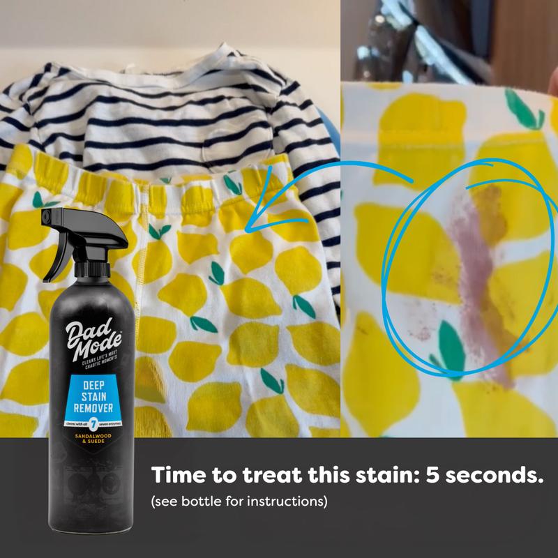 Deep Laundry Stain Remover & Odor Eliminator